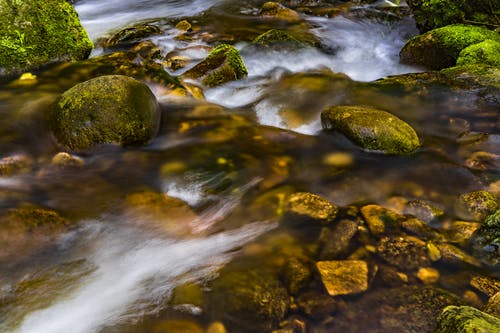 溪流照片 · 免费素材图片