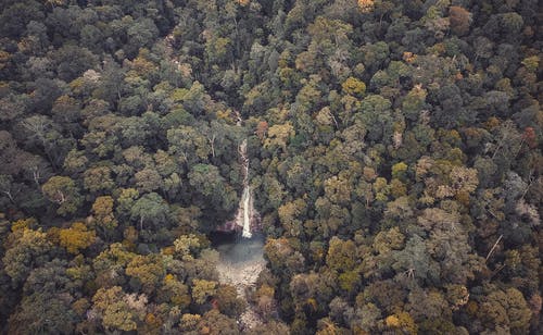 鸟瞰浓密森林瀑布 · 免费素材图片