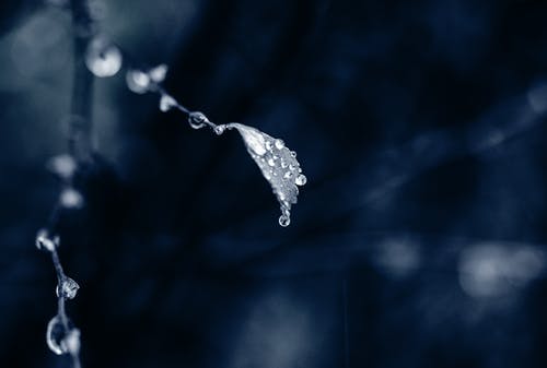 水滴照片 · 免费素材图片