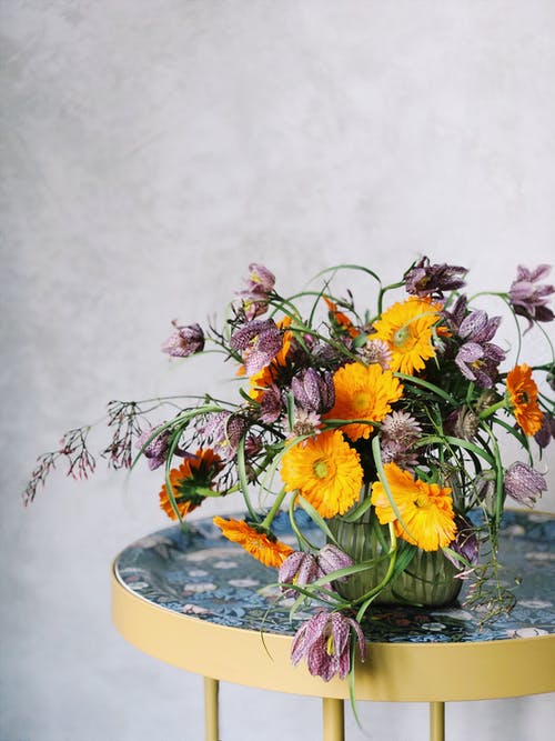 盆栽的黄色和紫色簇花 · 免费素材图片