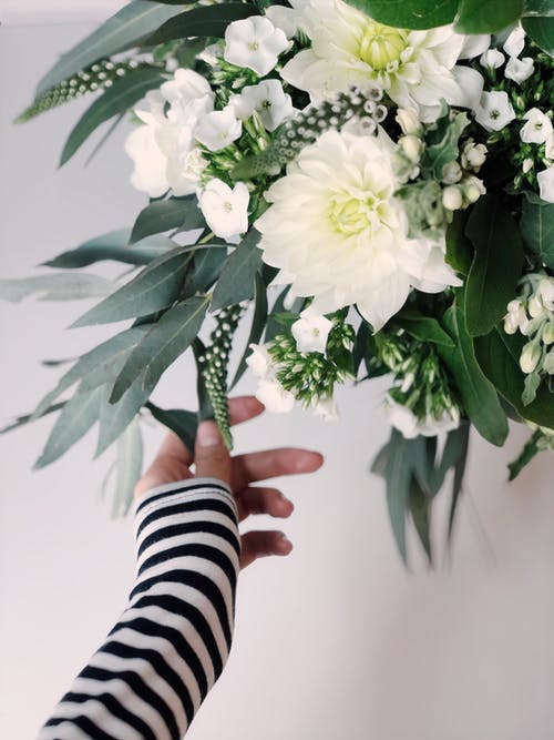 白花浅焦点摄影 · 免费素材图片