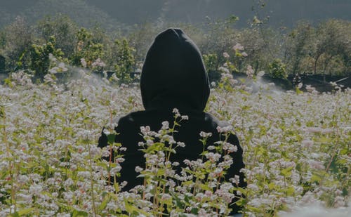 穿着黑色连帽衫站在花场上的人的照片 · 免费素材图片