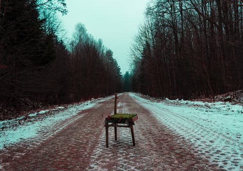 被树木包围的路中间的破棕色椅子的摄影 · 免费素材图片