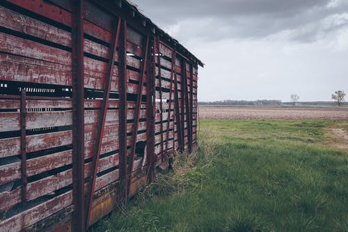 在绿草地上的红色木棚的照片 · 免费素材图片