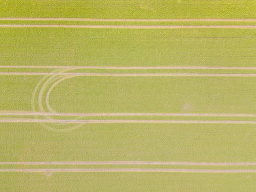 有关下田, 图案, 壁纸的免费素材图片