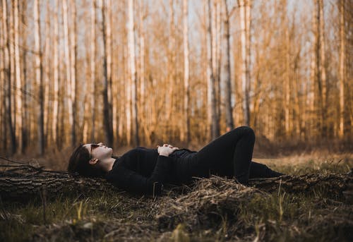 躺在地上被裸树包围的女人 · 免费素材图片