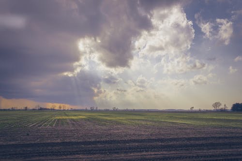 多云的天空下的绿色领域的照片 · 免费素材图片