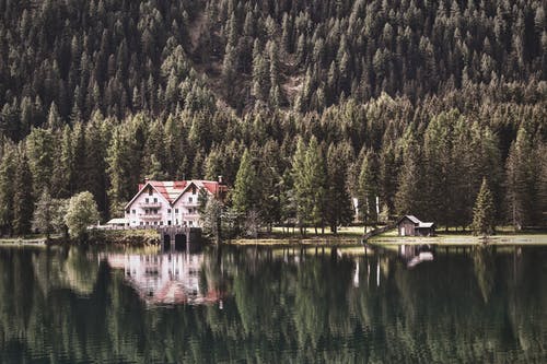 森林附近小屋的风景摄影 · 免费素材图片