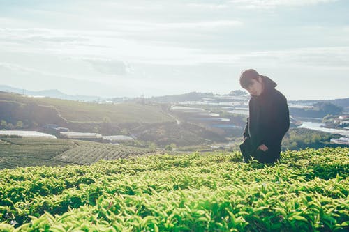 在植物附近的人的照片 · 免费素材图片