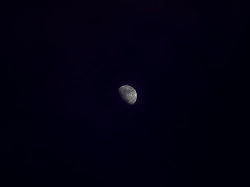 摄影半月 · 免费素材图片