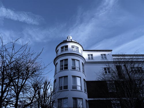 白色四层豪宅，四周被秃树包围 · 免费素材图片