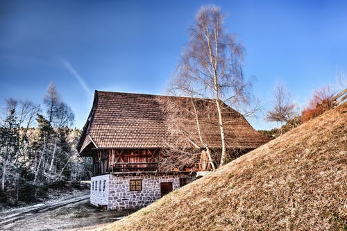 枯萎的树木摄影附近的棕色屋顶房子 · 免费素材图片