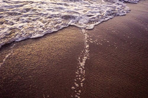 海滨的特写照片 · 免费素材图片