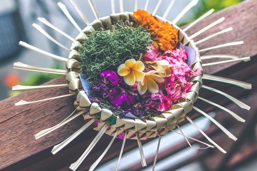 浅焦点摄影的五彩花卉装饰 · 免费素材图片
