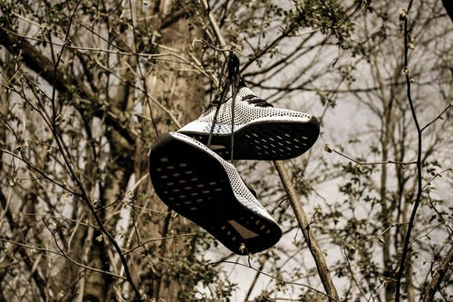双灰色低帮运动鞋挂在树上 · 免费素材图片