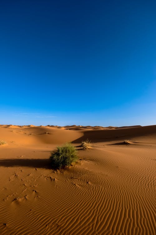 蓝天下的沙丘摄影 · 免费素材图片