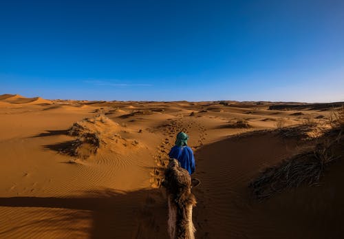 穿着蓝色夹克骑骆驼在沙漠上行走的人 · 免费素材图片