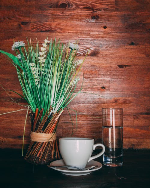 白色陶瓷茶杯和茶碟附近的绿叶植物 · 免费素材图片