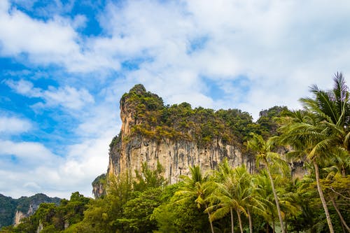 白天山附近的绿树 · 免费素材图片