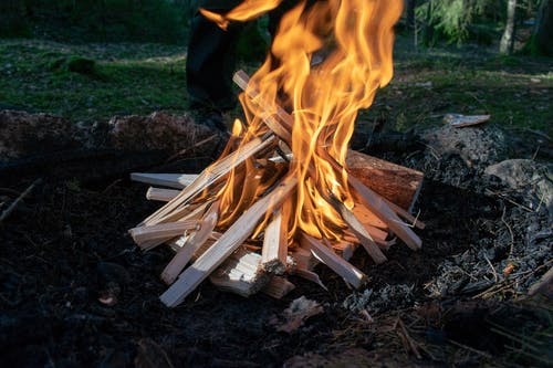 在火坑上燃烧的树林的照片 · 免费素材图片