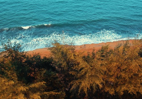 海滩鸟瞰图 · 免费素材图片