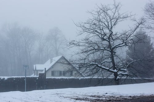 冬季在树附近的房子的照片 · 免费素材图片