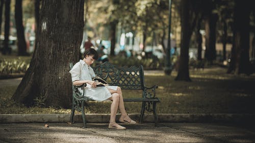 坐在树旁的长椅上的女人的照片 · 免费素材图片