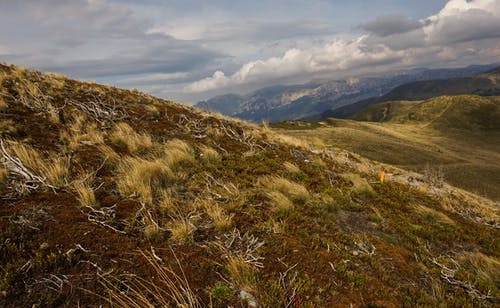 草原和山脉的风景摄影 · 免费素材图片