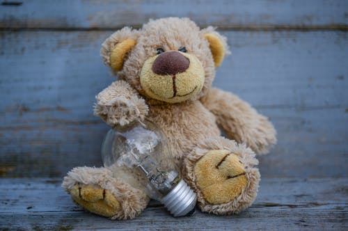 有关填充玩具, 泰迪熊, 灯泡的免费素材图片