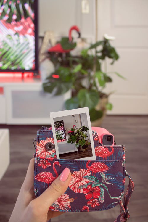 相机选择性对焦照片 · 免费素材图片