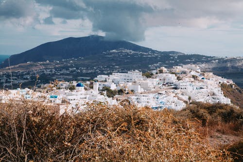 棕色草田 · 免费素材图片