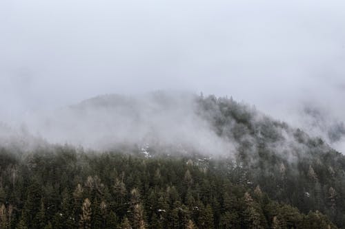 雾覆盖的绿色山景 · 免费素材图片