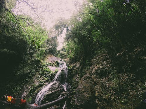 树木附近的瀑布摄影 · 免费素材图片