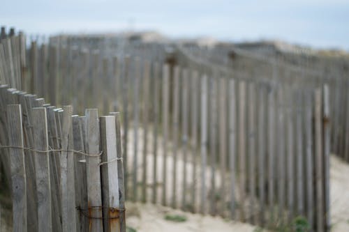 棕色木栅栏的浅焦点摄影 · 免费素材图片