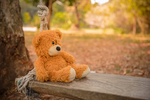 泰迪熊在木制秋千上的特写摄影 · 免费素材图片