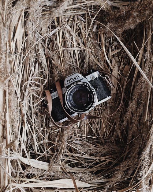 棕色巢中的黑色和灰色尼康相机 · 免费素材图片