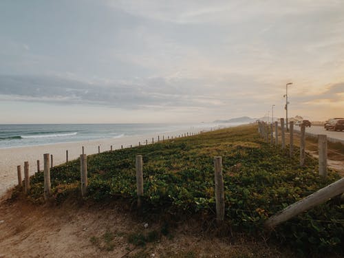海洋附近草地摄影 · 免费素材图片