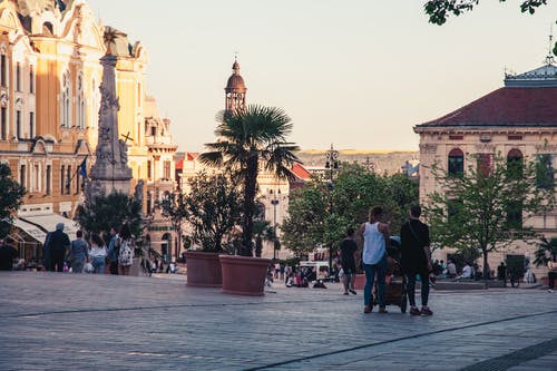 两人站在绿叶植物附近 · 免费素材图片