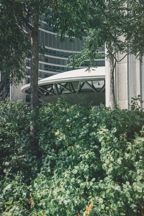 绿叶植物和树木在白天的白色建筑物附近 · 免费素材图片