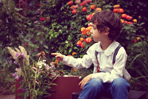 男孩坐和触摸花的照片 · 免费素材图片