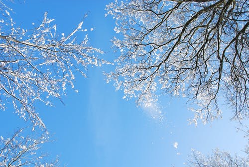 有关下雪的, 下雪的天气, 冬季的免费素材图片