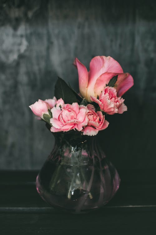 粉色康乃馨花和粉色玫瑰花的核心 · 免费素材图片