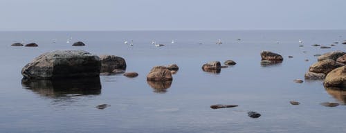 白天在水体附近的棕色岩石摄影 · 免费素材图片