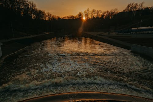 黎明照片河附近树木的轮廓 · 免费素材图片