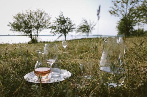 白天在草地上的透明玻璃投手和酒杯 · 免费素材图片