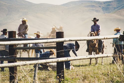 牛仔在dayitme期间采取的灰色木栅栏附近骑马 · 免费素材图片