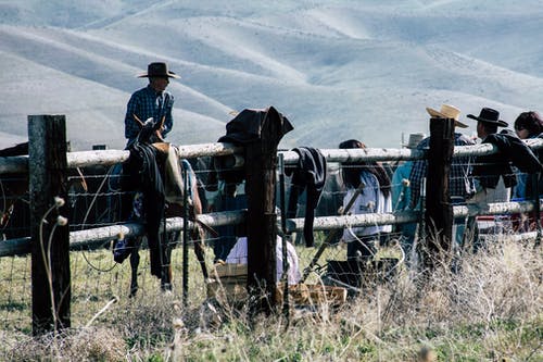牛仔靠在棕色栅栏上 · 免费素材图片