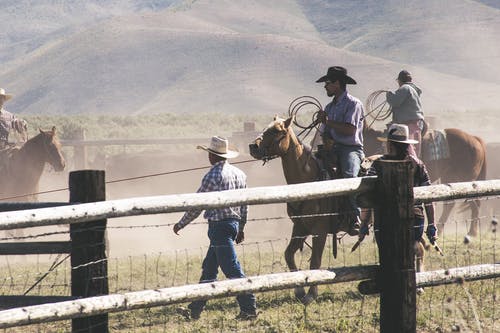 人们骑在农场里的观点马 · 免费素材图片