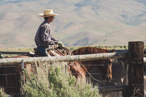 男子骑乘马的摄影 · 免费素材图片