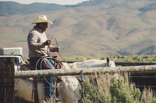 男子骑着白马的照片 · 免费素材图片